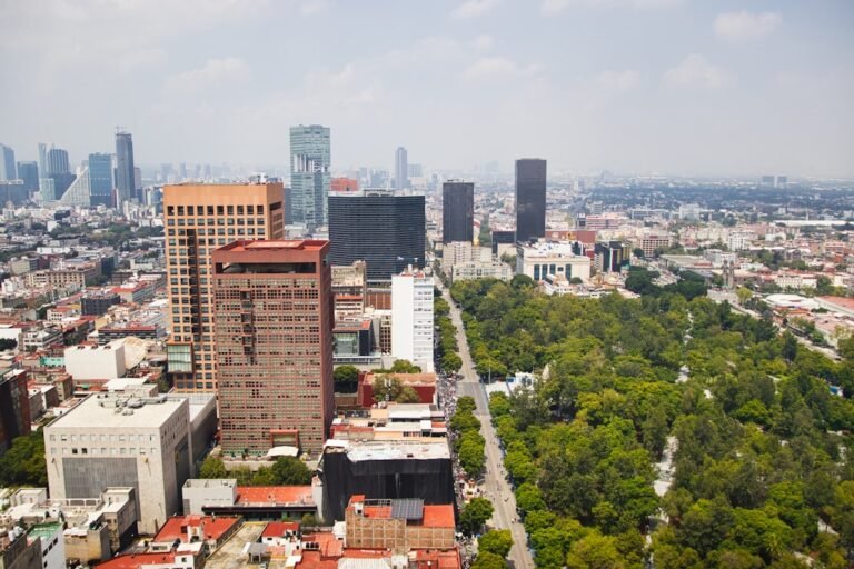 cost of living in Mexico City vs Los Angeles - Photo by 𝕡𝕒𝕨𝕤 𝕒𝕟𝕕 𝕡𝕣𝕚𝕟𝕥𝕤 on Unsplash